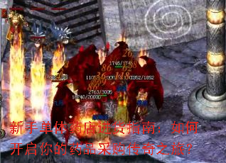 ���ֵ���ҩ�����ָ�ϣ���ο������ҩƷ�ɹ�����֮�ã�