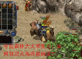 ����ɭ�ִ�������ǣ������ȡ�������ȳ裿