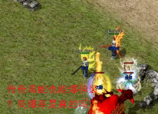 传奇毒蛇也能爆神装?高爆率是真的吗? 传奇毒蛇也能爆神装?高爆率是真的吗?