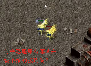 传奇私服里有哪些升级不烦的技巧呢? 传奇私服里有哪些升级不烦的技巧呢?
