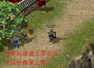 传奇私服道士是否应该提升血量上限? 传奇私服道士是否应该提升血量上限?