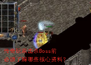 ������һ�ɱBossǰ�����˽���Щ�������ϣ�