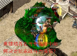 英雄培养在传奇私服中如何决定玩家战斗力强弱? 英雄培养在传奇私服中如何决定玩家战斗力强弱?