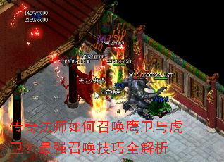 ���淨ʦ����ٻ�ӥ���뻢������ǿ�ٻ�����ȫ����