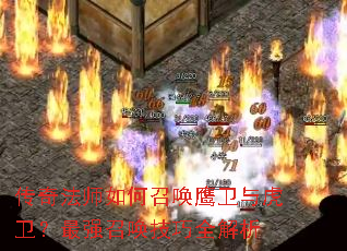 ���淨ʦ����ٻ�ӥ���뻢������ǿ�ٻ�����ȫ����