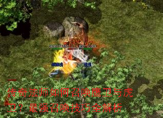 ���淨ʦ����ٻ�ӥ���뻢������ǿ�ٻ�����ȫ����