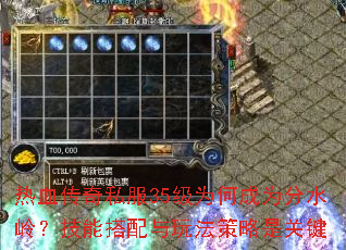 热血传奇私服35级为何成为分水岭?技能搭配与玩法策略是关键 热血传奇私服35级为何成为分水岭?技能搭配与玩法策略是关键