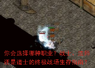 ���ѡ������ְҵ��սʿ����ʦ���ǵ�ʿ���ռ�ս������ָ�ϣ�