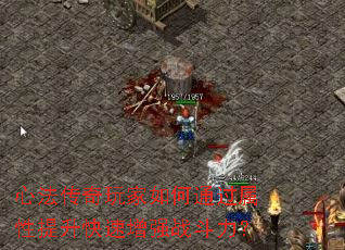 心法传奇玩家如何通过属性提升快速增强战斗力? 心法传奇玩家如何通过属性提升快速增强战斗力?