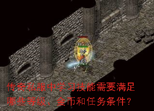 传奇私服中学习技能需要满足哪些等级、金币和任务条件? 传奇私服中学习技能需要满足哪些等级、金币和任务条件?