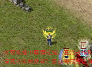 ����˽������Խ�ָ�������ָ�ͻ�����ָ��λ�ȡ����ǿ�ؽ����Խ���
