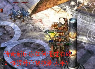 传奇新玩家如何通过有效训练提升心智技能水平? 传奇新玩家如何通过有效训练提升心智技能水平?