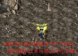��γɹ���ս��Ѫ��������BOSS�������Ŷ�ս����ʵս������⣿