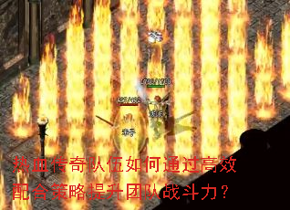 ��Ѫ����������ͨ����Ч��ϲ��������Ŷ�ս������