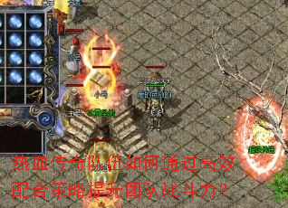 ��Ѫ����������ͨ����Ч��ϲ��������Ŷ�ս������