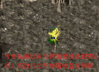 传奇私服玩家为何偏爱挑战银杏山谷?高效打法与掉落收益全解析 传奇私服玩家为何偏爱挑战银杏山谷?高效打法与掉落收益全解析
