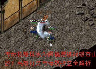 传奇私服玩家为何偏爱挑战银杏山谷?高效打法与掉落收益全解析 传奇私服玩家为何偏爱挑战银杏山谷?高效打法与掉落收益全解析