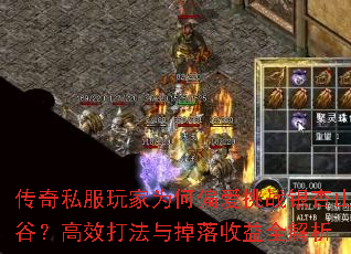 传奇私服玩家为何偏爱挑战银杏山谷?高效打法与掉落收益全解析 传奇私服玩家为何偏爱挑战银杏山谷?高效打法与掉落收益全解析