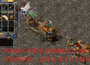 传奇新手怎样发现隐藏BOSS并获取双倍经验?这两大技巧你了解吗? 传奇新手怎样发现隐藏BOSS并获取双倍经验?这两大技巧你了解吗?