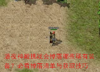 潘夜神殿挑战会掉落哪些稀有装备?必看掉落清单与获取技巧 潘夜神殿挑战会掉落哪些稀有装备?必看掉落清单与获取技巧