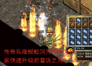 ����˽����򼶴Ϊ�γ�Ϊ��ҿ�����������ѡ֮�أ�
