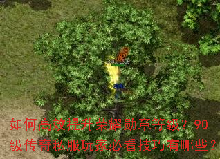 如何高效提升荣耀勋章等级?90级传奇私服玩家必看技巧有哪些? 如何高效提升荣耀勋章等级?90级传奇私服玩家必看技巧有哪些?