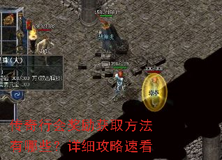 传奇行会奖励获取方法有哪些?详细攻略速看 传奇行会奖励获取方法有哪些?详细攻略速看