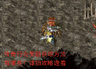传奇行会奖励获取方法有哪些?详细攻略速看 传奇行会奖励获取方法有哪些?详细攻略速看