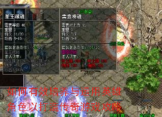 如何有效培养与运用英雄角色以打造传奇游戏攻略 如何有效培养与运用英雄角色以打造传奇游戏攻略