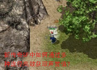 新传奇SF中如何通过多种途径高效获取声誉值? 新传奇SF中如何通过多种途径高效获取声誉值?