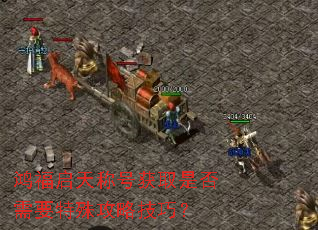 �踣����ƺŻ�ȡ�Ƿ���Ҫ���⹥�Լ��ɣ�