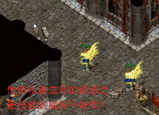 ����˽����ʦ���ջ�֮�⼼�ܵ��׺ò����ã�