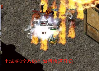 ����NPCȫ���ԣ���ο�������
