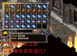 ����BOSS����ˢ������Щʵ�ü��ɣ�