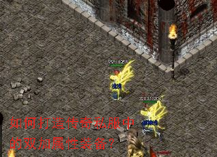 ��δ��촫��˽���е�˫������װ����