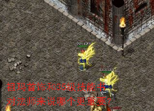 祖玛首饰和35级技能书对法师来说哪个更重要? 祖玛首饰和35级技能书对法师来说哪个更重要?