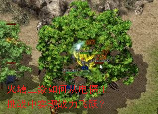 ����������δӵ罩����ս��ʵ��ս����Ծ��