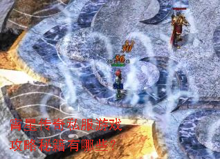 ���Ǵ���˽����Ϸ�����ؼ�����Щ��