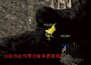65����Ѫ���漼���������죿
