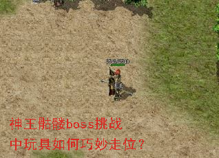 神王骷髅boss挑战中玩具如何巧妙走位? 神王骷髅boss挑战中玩具如何巧妙走位?