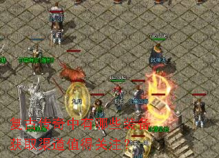 ���Ŵ���������Щװ����ȡ����ֵ�ù�ע��