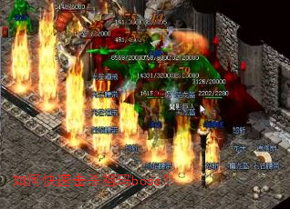 ��ο��ٻ�ɱ����boss��
