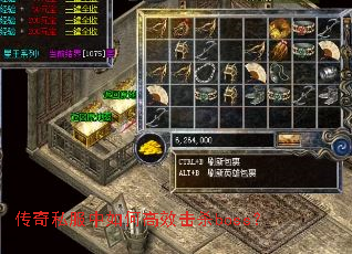 ����˽������θ�Ч��ɱboss��