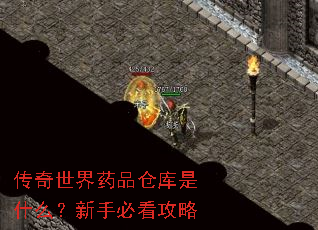 ��������ҩƷ�ֿ���ʲô�����ֱؿ�����