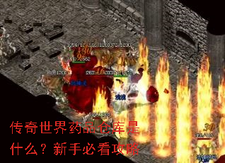 ��������ҩƷ�ֿ���ʲô�����ֱؿ�����