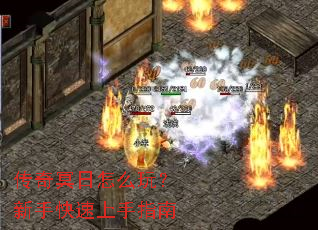 ����ڤ����ô�棿���ֿ�������ָ��