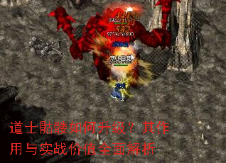 道士骷髅如何升级?其作用与实战价值全面解析 道士骷髅如何升级?其作用与实战价值全面解析