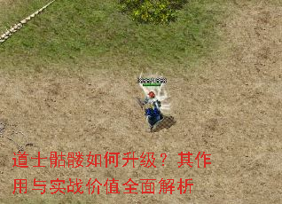 道士骷髅如何升级?其作用与实战价值全面解析 道士骷髅如何升级?其作用与实战价值全面解析
