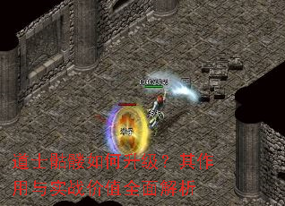 道士骷髅如何升级?其作用与实战价值全面解析 道士骷髅如何升级?其作用与实战价值全面解析