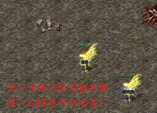 �������涥����������Щ����λ����������